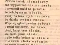 Piękno języka polskiego