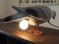 Lampka dla gołębiarza