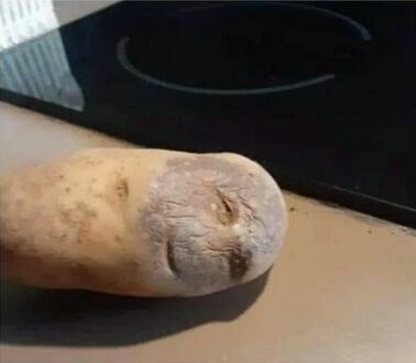 Mam tego ziemniaka ugotować czy zawieźć do szpitala?