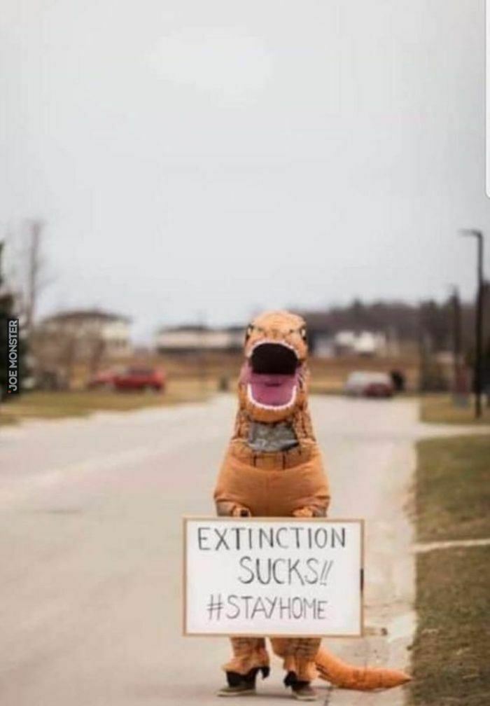 extinction sucks stayhome