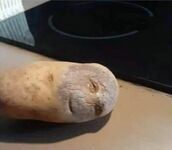 Mam tego ziemniaka ugotować czy zawieźć do szpitala?