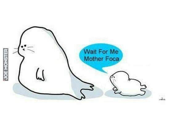 wait for me mother foca