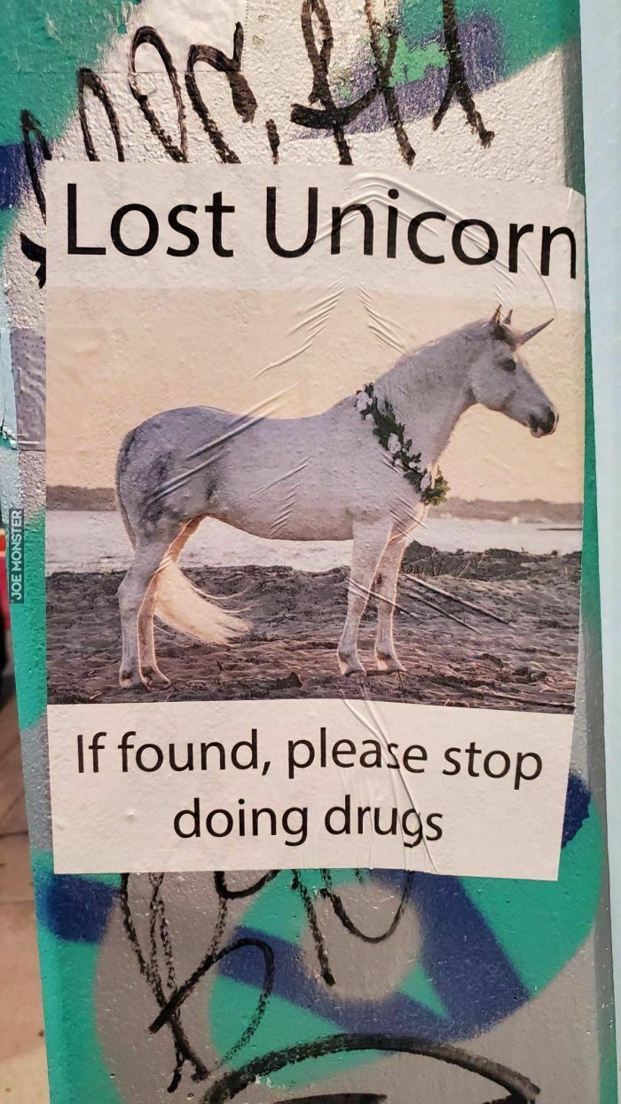 lost unicorn if found please