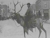 Mężczyzna jadący na osiodłanym jeleniu, 1910, Sheridan, Wyoming