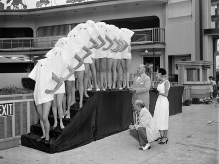 Konkurs na najlepsze nogi, New Jersey, 1951 rok