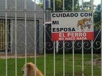 Znalezione w Argentynie, po przetłumaczeniu znak mówi: Uwaga na moją żonę. Pies nie gryzie.