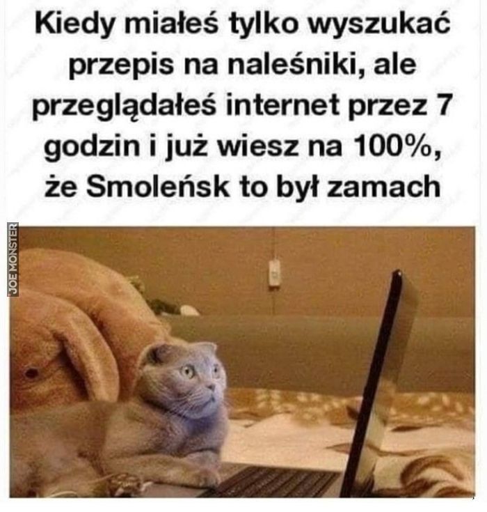 Kiedy miałeś tylko wyszukać przepis na naleśniki, ale przeglądałeś internet przez 7 godzin i już wiesz na 100%, że Smoleńsk to był zamach