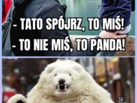 Polska panda
