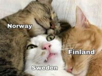 Norwegia i Finlandia, kiedy dowiedziały się, że Szwecja w końcu weszła do NATO