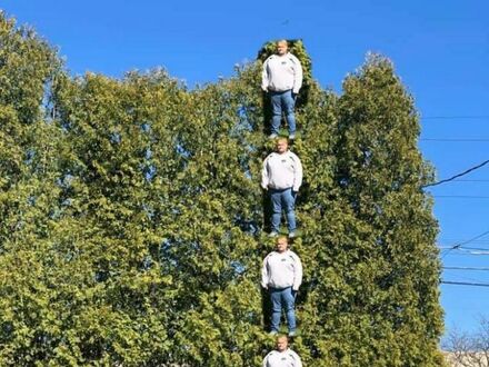 Brat chiciał zmierzyć wysokość drzew w ogrodzie