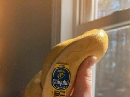 Jakiś dziwny ten banan