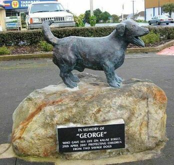 Pomnik Georga - psa, który 29 kwietnia 2007 r  poświęcił życie na ulicy Kauae, chroniąc dzieci przed dwoma agresywnymi psami