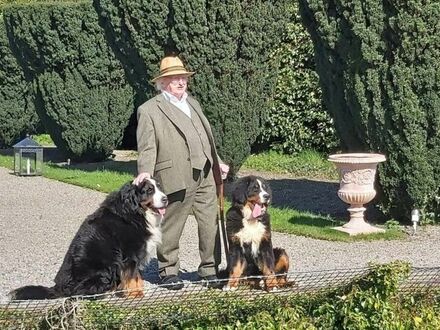 Prezydent Irlandii na spacerze ze swoimi psami