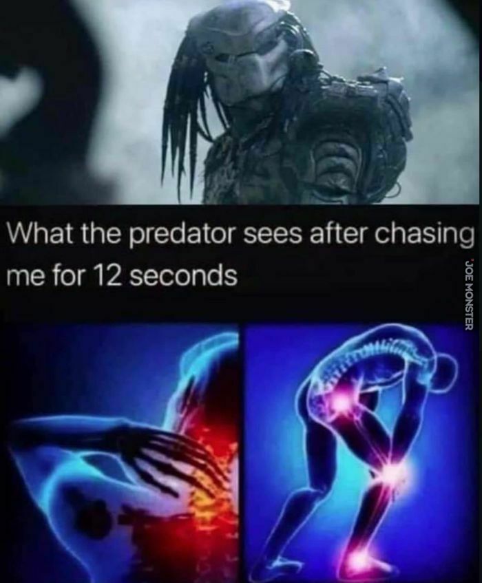 what the predator sees after chasing