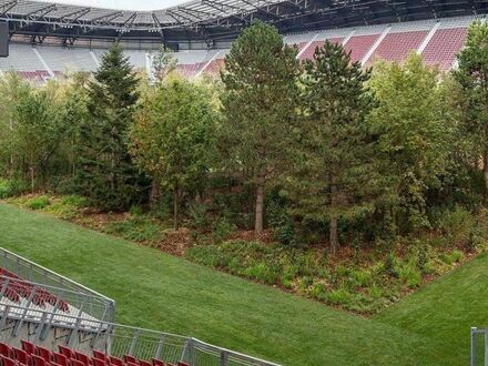 Opuszczony stadion w Austrii, na którym zasadzono około 300 drzew