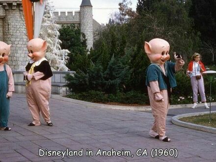 Przerażajacy Disneyland