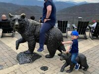 Ujeżdżają niedźwiedzie