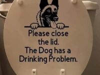 Proszę zamykać deskę  Pies ma problem z piciem