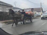 Wóz o mocy jednego konia