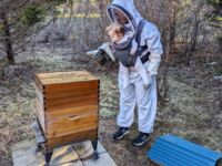 Nauki na pszczelarza od najmłodszych lat