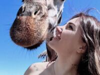 Selfik z żyrafą