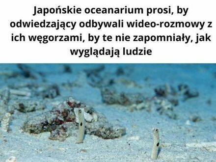 Szczególne prośby oceanarium na świecie i w Polsce