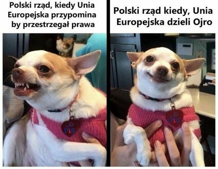 Polski piesełek