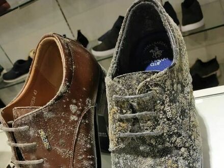 Para skórzanych butów spleśniała w sklepie po 2 miesiącach izolacji