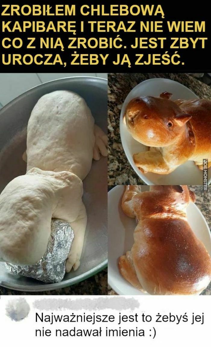 zrobiłem chlebową kapibarę i teraz