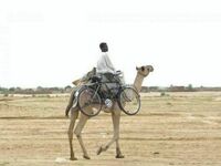 Jak przetransportować rower przez pustynię