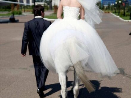 Ślub człowieka z centaurem