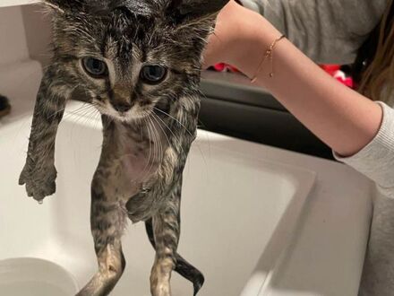 Jego pierwsza kąpiel
