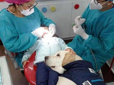 Pomoc w gabinecie u dentysty