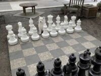 Król na szachownicy