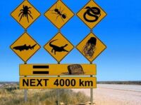 Niebezpieczna droga w Australii