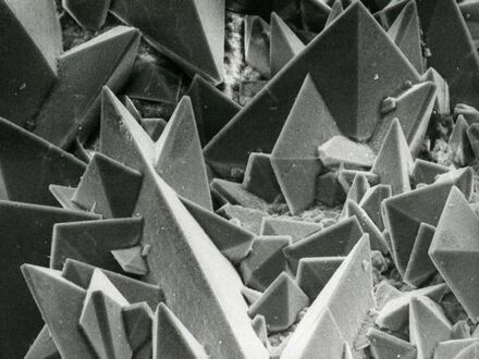 Powierzchnia kamieni nerkowych pod mikroskopem elektronowym