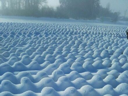 Pole kapusty po opadach śniegu