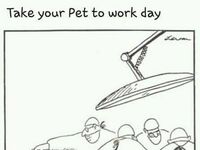 Dzień zabierania zwierząt do pracy