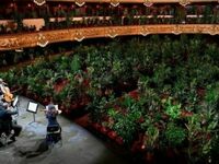 Po miesiącach kwarantanny pierwszy koncert w operze w Barcelonie został zagrany dla 2 300 roślin