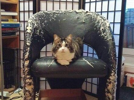 To jego fotel