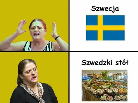 Pawłowicz vs Szwecja