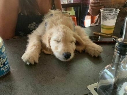Padł zmęczony na bar