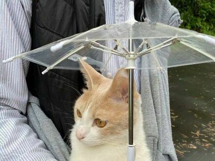 Prywatna parasolka