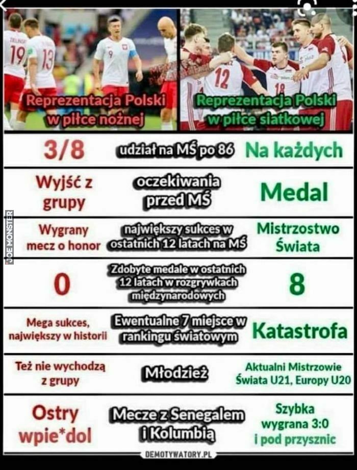 reprezentacja polski w piłce nożnej siatkowej