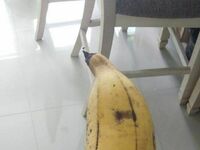 Konkretny banan