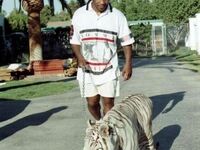 Mike Tyson na spacerze ze swoim tygrysem, 1991 rok