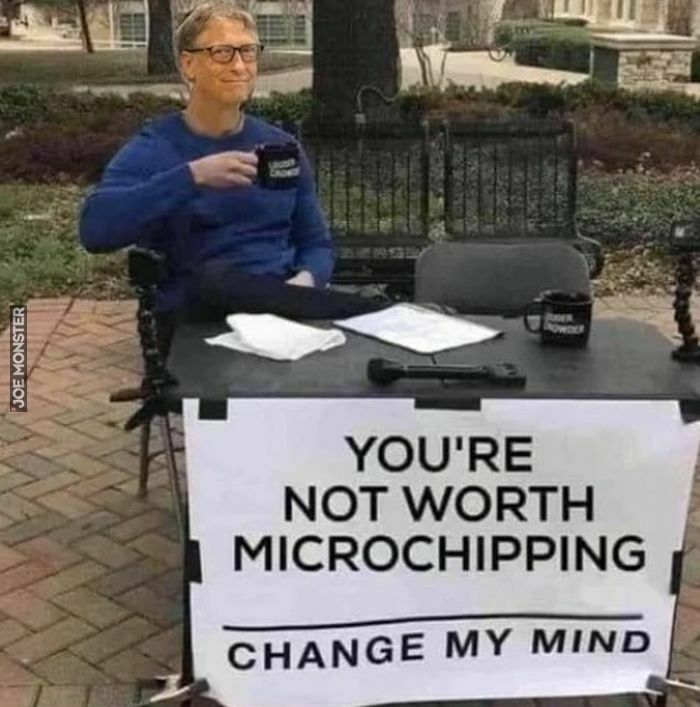 you're not worth mickochipping