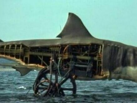 Bruce - rekin ze Szczęk, 1975