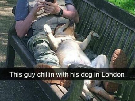 Gość relaksuje się ze swoim psem w Londynie