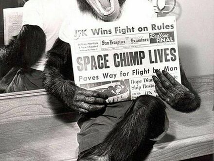 Kosmiczny szympans pozujący do kamery po udanej misji, 1961